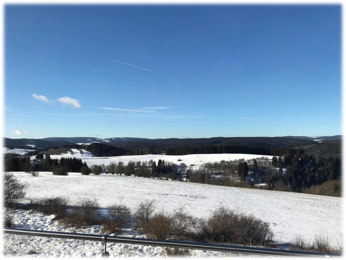Ferienwohnung Fuchsbau Im Eg Des Ferienhauses Falkenhoehe Oberweißbach Buitenkant foto